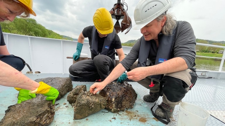 Von den schleimigen Steinen werden behutsam alle möglichen Tierchen abgesammelt: Larven von Insekten, Krebstierchen, Muscheln und viele weitere Lebewesen, die später analysiert werden.