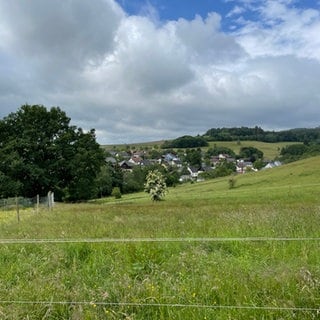 Die Hunsrückgemeinde Leisel am Rande des Nationalparks Hunsrück-Hochwald