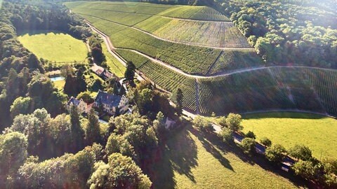 Das Weingut Maximin Grünhaus an der Ruwer. Es wird in sechster Generation von der Familie von Schubert betrieben. 