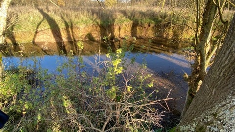 Auch im Auelbach, in den der Langebach mündet, war im November Schlamm festzustellen.