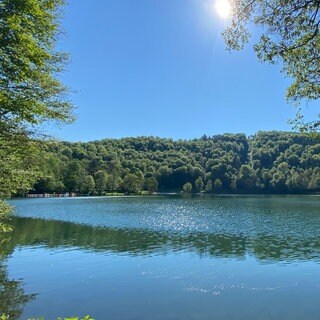 Einfach ins kühle Wasser springen und die Hitze Hitze sein lassen: Das geht an den Maaren in der Eifel. Hier am Gemündener Maar sowie am Meerfelder, dem Schalkenmehrener Maar und dem Pulvermaar herrschen im Mittel 21 bis 22 Grad. Höhere Temperaturen werden laut Gesundland Vulkaneifel nur bei langen Hitzeperioden geknackt. Aber Vorsicht: Reinspringen in die Maare ist nur an den abgegrenzten Naturfreibädern erlaubt.