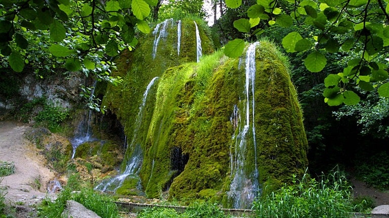 Wer nicht direkt ins Wasser springen will, der kann sich zumindest daneben stellen und sich erfrischen lassen: Im Dreimühlen-Wasserfall bei Nohn in der Eifel plätschert das ganze Jahr das Wasser dreier Quellzuflüsse über eine Geländekante. Der Zugang zum Wasserfall ist auf eigene Gefahr möglich, er kann das ganze Jahr über besichtigt werden - was auch rege genutzt wird, dort ist immer viel los.