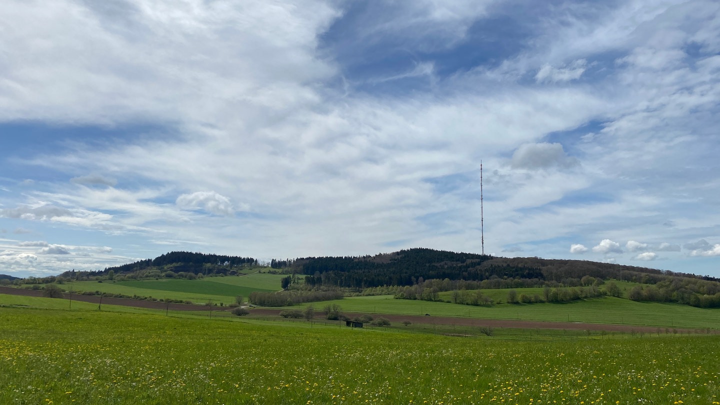 Die Besonderheit des Schartebergs: Neben dem eigentlichen Gipfel etwas links vom Sendemast des SWR sieht man noch weiter links den zweiten Gipfel: das 