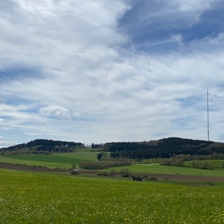 Die Besonderheit des Schartebergs: Neben dem eigentlichen Gipfel etwas links vom Sendemast des SWR sieht man noch weiter links den zweiten Gipfel: das "Hinterweiler Köpfchen".