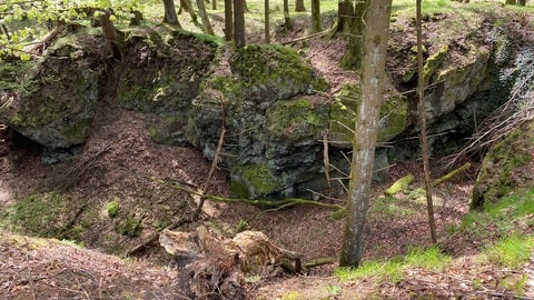 Das Gebiet rund um Scharteberg und Ernstberg ist ein wertvoller Lebensraum, insbesondere für Fledermäuse. Es kann sein, dass in dieser kleinen Schlucht mitten im Wald einst Gestein abgebaut wurde.