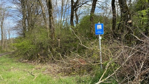 Das vulkanisch gefilterte Wasser, das in der Region aus der Leitung kommt, stammt von hier. Deshalb ist das Gebiet auch Wasserschutzgebiet.