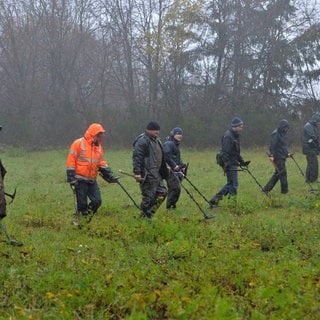 Männer mit Metallsuchgeräten durchsuchen die Wiese bei Riol nach antiken Fundstücken.