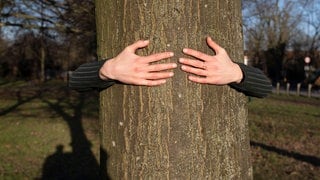 Eine Frau umarmt einen Baum.