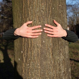 Eine Frau umarmt einen Baum.