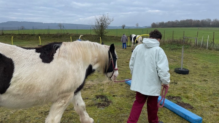 Junge Männer im Pferdetraining haben Erfolgserlebnisse, wenn sie mit den Pferden Aufgaben meistern wie einen Parcours.