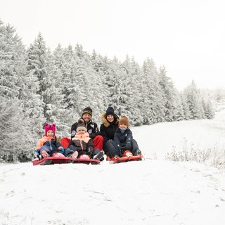 Für das Skifahren reicht der Schnee am Erbeskopf nicht, aber eine Schlittenfahrt ist drin. 