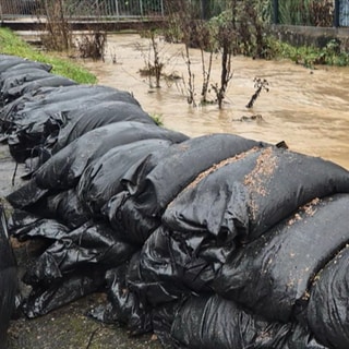 Nach Schnee und Regen werden in RLP mildere Temperaturen und damit auch weiter steigende Wasserstände der Flüsse und Bäche erwartet - wie hier am Mausbach in Tawern (LK Trier-Saarburg) 