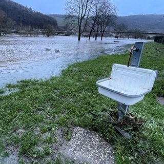 Ufer der Mosel bei Zeltingen-Rachtig steht unter Wasser