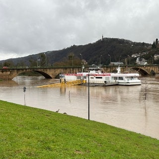 Hochwasser am Zurlaubener Ufer in Trier