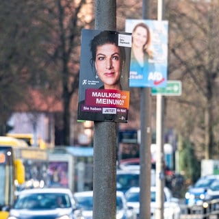 Wahlplakate für die Bundestagswahl am 23. Februar hängen an Straßenlaternen. (Symbolbild)