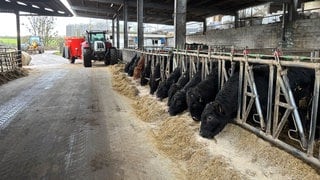 Immer mehr Landwirte setzen auf mehrere Einnahmequellen, so auch eine Familie aus der Eifel. Neben der Landwirtschaft betreiben sie ein Hotel, Restaurant, einen Hofladen und eine Kochschule.