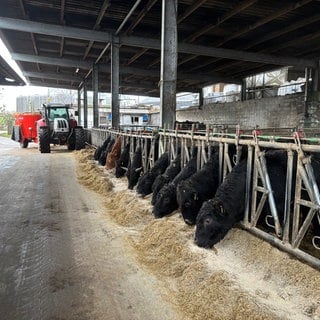 Immer mehr Landwirte setzen auf mehrere Einnahmequellen, so auch eine Familie aus der Eifel. Neben der Landwirtschaft betreiben sie ein Hotel, Restaurant, einen Hofladen und eine Kochschule.