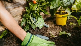 Der Verein "Bunte Gärten Eifel" zeigt, wie mit Hilfe des eigenen Gartens der Alltag nachhaltiger werden kann. Dadurch kann etwa Plastikmüll vermieden werden.