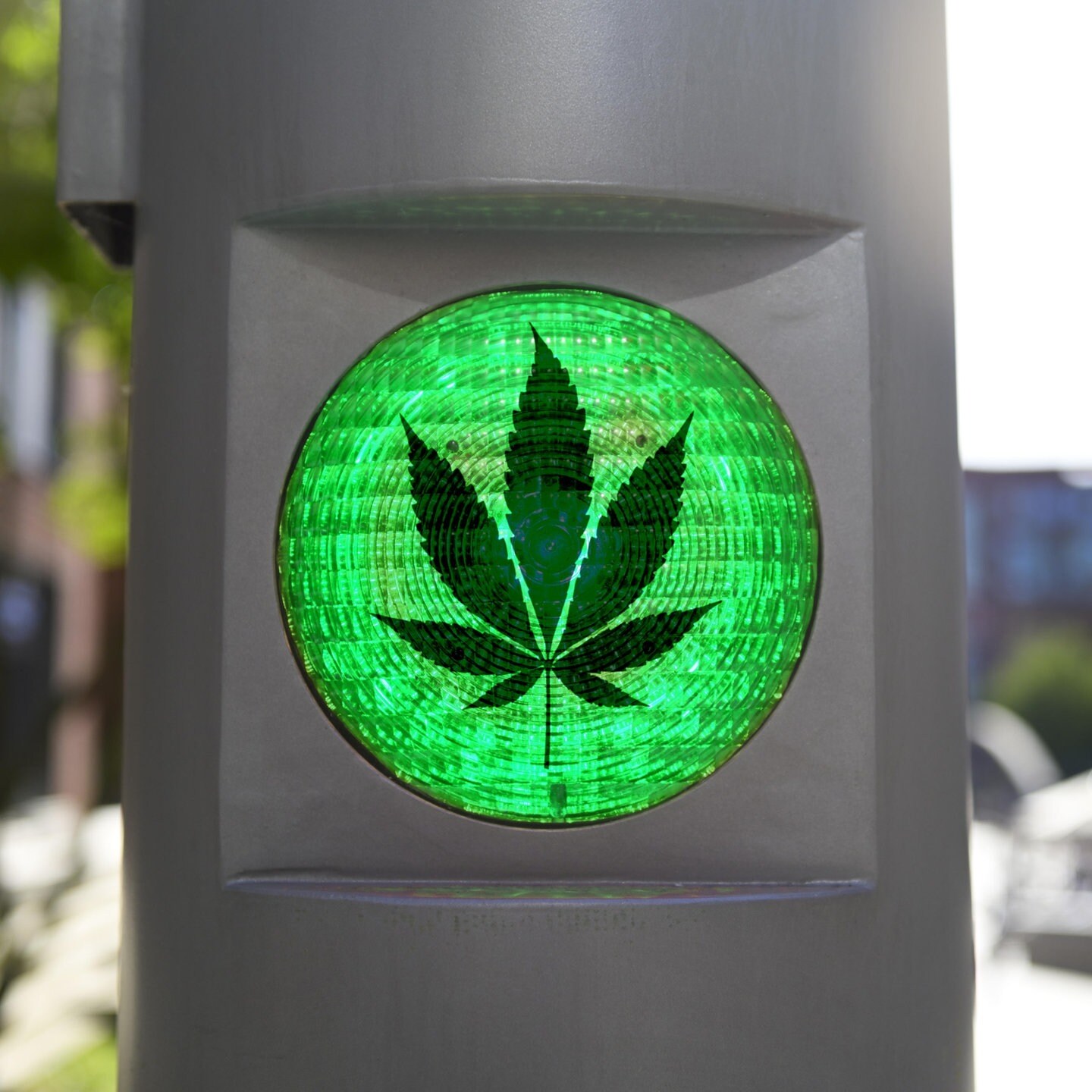 Wie Groß Ist Der Markt Für Cannabis In Deutschland? - SWR Aktuell