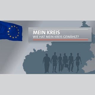 Europawahl Mein Kreis