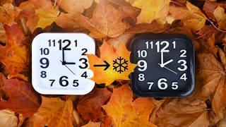 Zwei Uhren auf Herbstblättern, Symbolfoto für die Umstellung auf Winterzeit