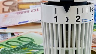 Heizungsregler mit Euro-Scheinen