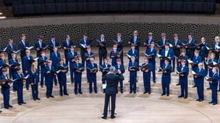 Knabenchor Regensburger Domspatzen