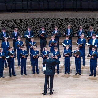 Knabenchor Regensburger Domspatzen