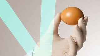Handholding an egg