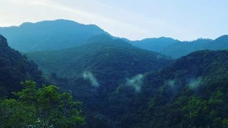 Blick ins Intag-Tal in Ecuador