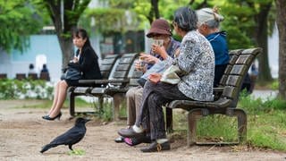 Fukuoka, Japan. Old ladies feeding birds in the city park 