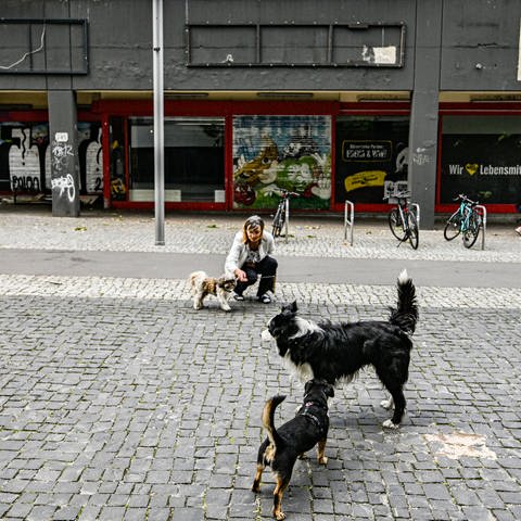 Drei Hunde und eine Frau auf dem Mehringplatz in Berlin