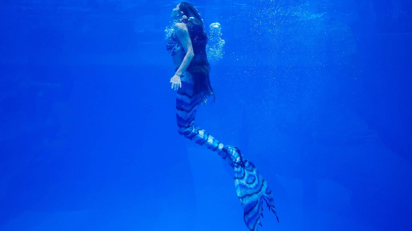 Underwater model Anastasia Slobodchikova dressed as a mermaid performs at the Primorye Oceanarium of the Russian Academy of Sciences on Russky Island.