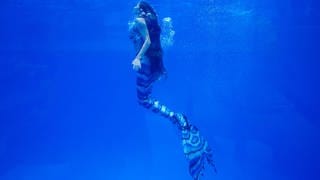 Underwater model Anastasia Slobodchikova dressed as a mermaid performs at the Primorye Oceanarium of the Russian Academy of Sciences on Russky Island. 