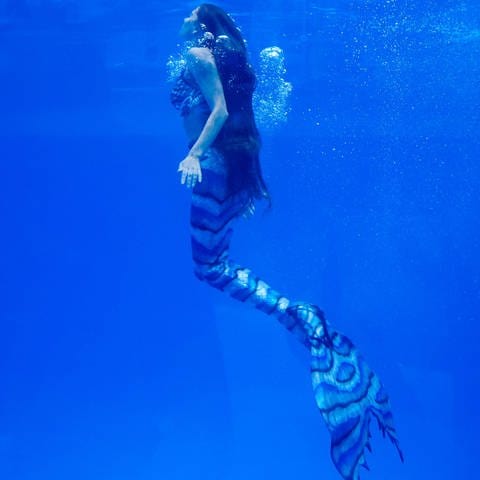 Underwater model Anastasia Slobodchikova dressed as a mermaid performs at the Primorye Oceanarium of the Russian Academy of Sciences on Russky Island. 