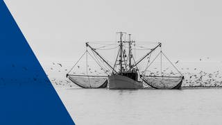 Fischkutter beim Fischen auf der Nordsee. Büsum, Schleswig-Holstein