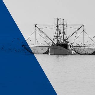 Fischkutter beim Fischen auf der Nordsee. Büsum, Schleswig-Holstein