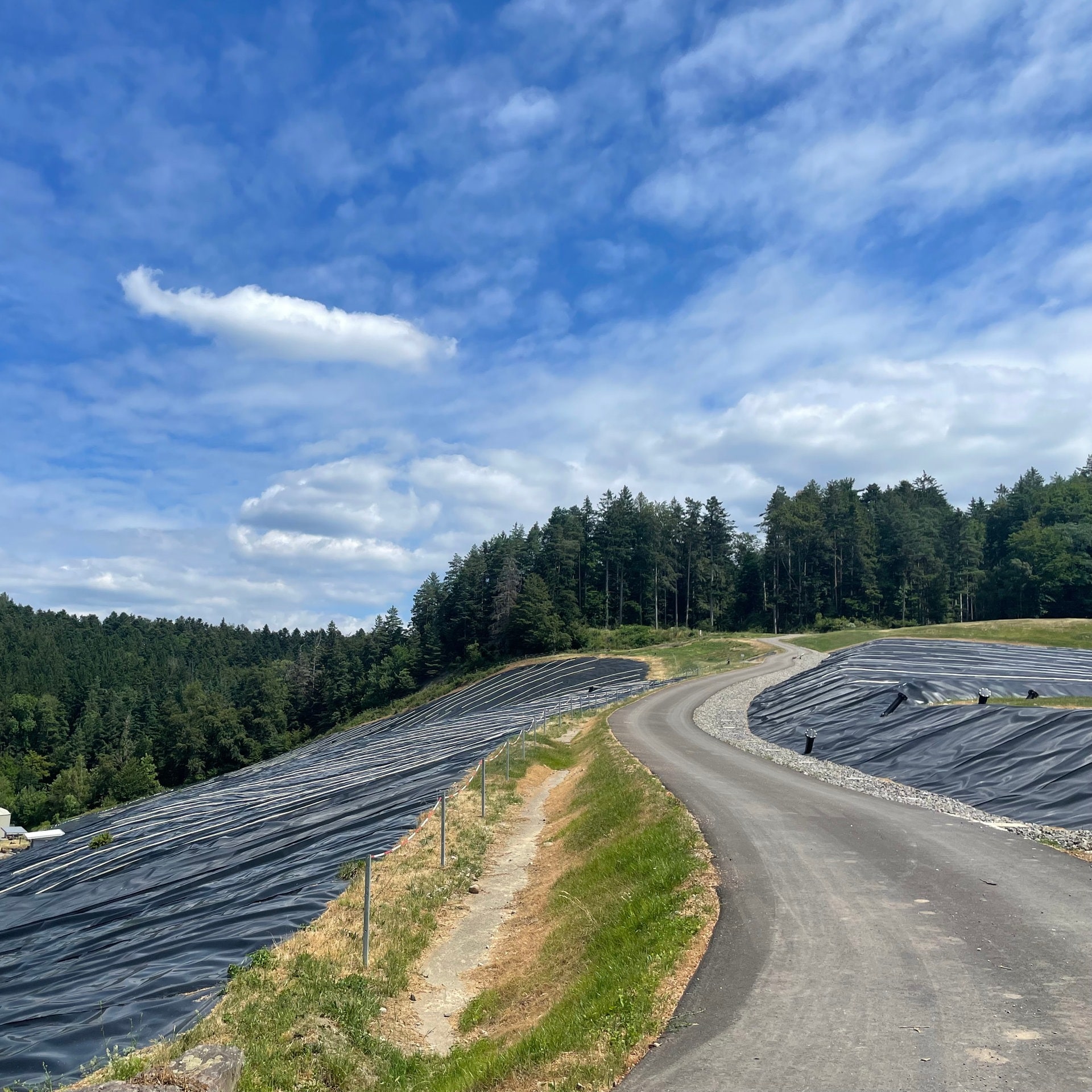 Eine so schöne Landschaft und ein so trauriger Ort - Erinnern und Vergessen in Haslach