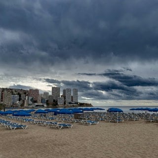 Strand von Benidorm mit Liegestühlen