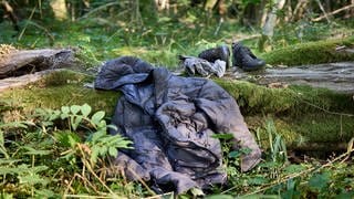 Kleidung von Geflüchteten in polnischem Wald nahe der belarussischen Grenze