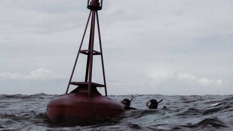 Filmszene "Jenseits der Blauen Grenze" zwei Taucher schwimmen durch die Ostsee