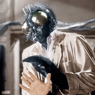 THE FLY, David Hedison, 1958. Â©20th Century-Fox Film Corporation.