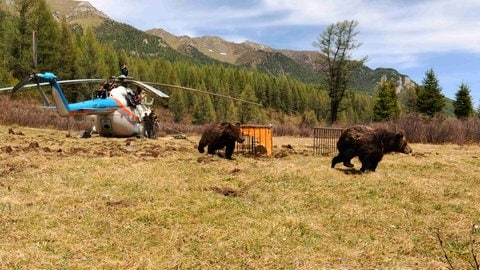 Mongolia - Valley of the Bears (Tal der Bären)