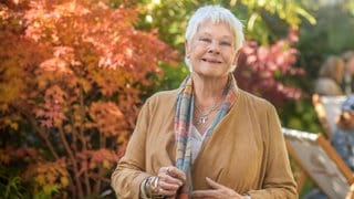 Judi Dench beim Times and Sunday Times Cheltenham Literature Festival im Oktober 2024