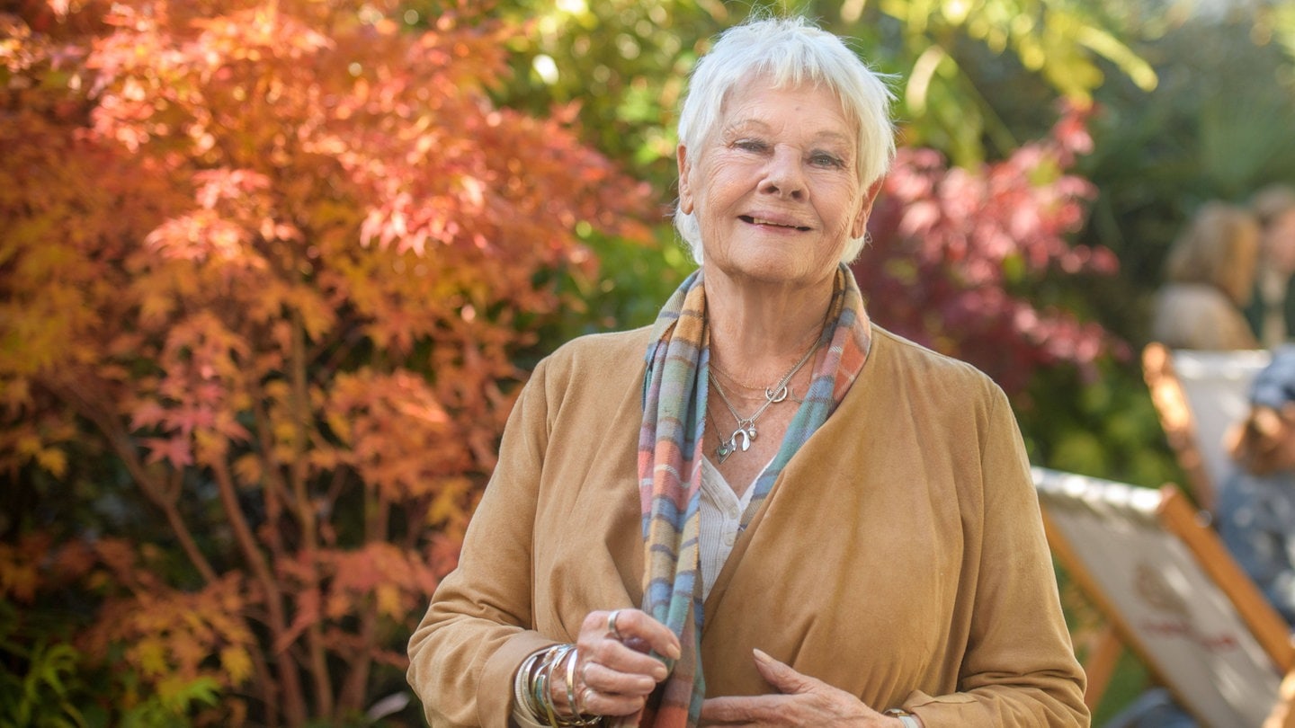 Judi Dench beim Times and Sunday Times Cheltenham Literature Festival im Oktober 2024