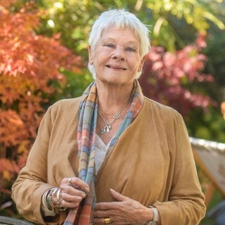 Judi Dench beim Times and Sunday Times Cheltenham Literature Festival im Oktober 2024