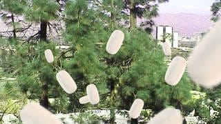 Park mit fliegenden weißen tic tacs