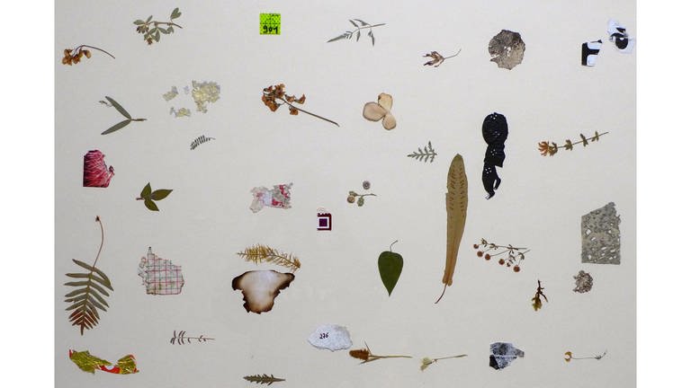 Arbeit von Maria Grazia Sacchitelli: O.T. 2019 Pflanzenteile und Abfallstücke auf Papier 70x100 cm. aus der Werkgruppe „Naturabilia“