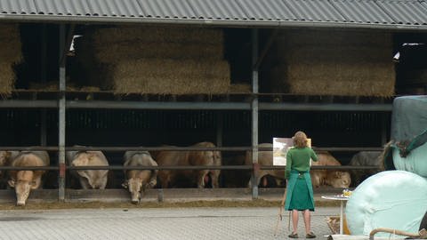 Antje Schiffers