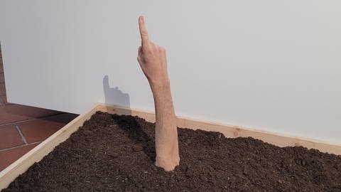 Arm aus Erde: Skulptur des Schweizer Künstlers Leopold Rabus